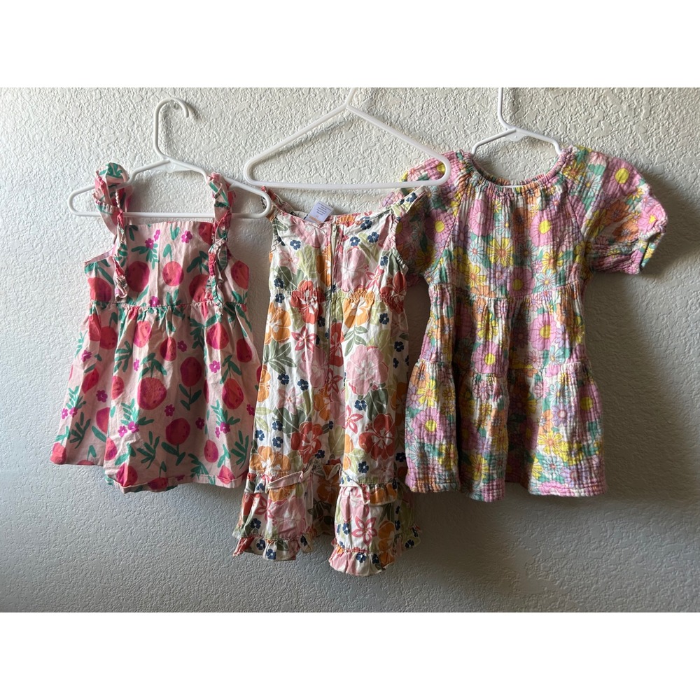 Toddler Girl Floral Dress Bundle Carters Gymboree Wonder Nation Size 2T 3pc Lot